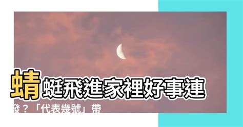 蜻蜓飛進家裡